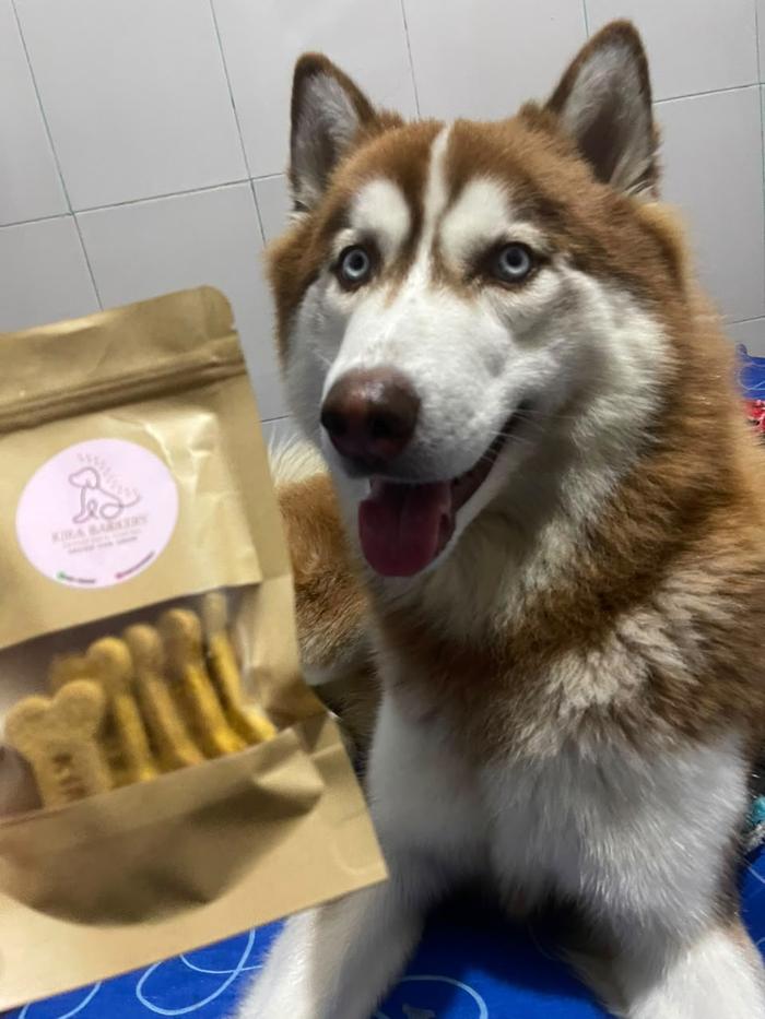 Husky feliz con su bolsa de galletas Kira Barkery
