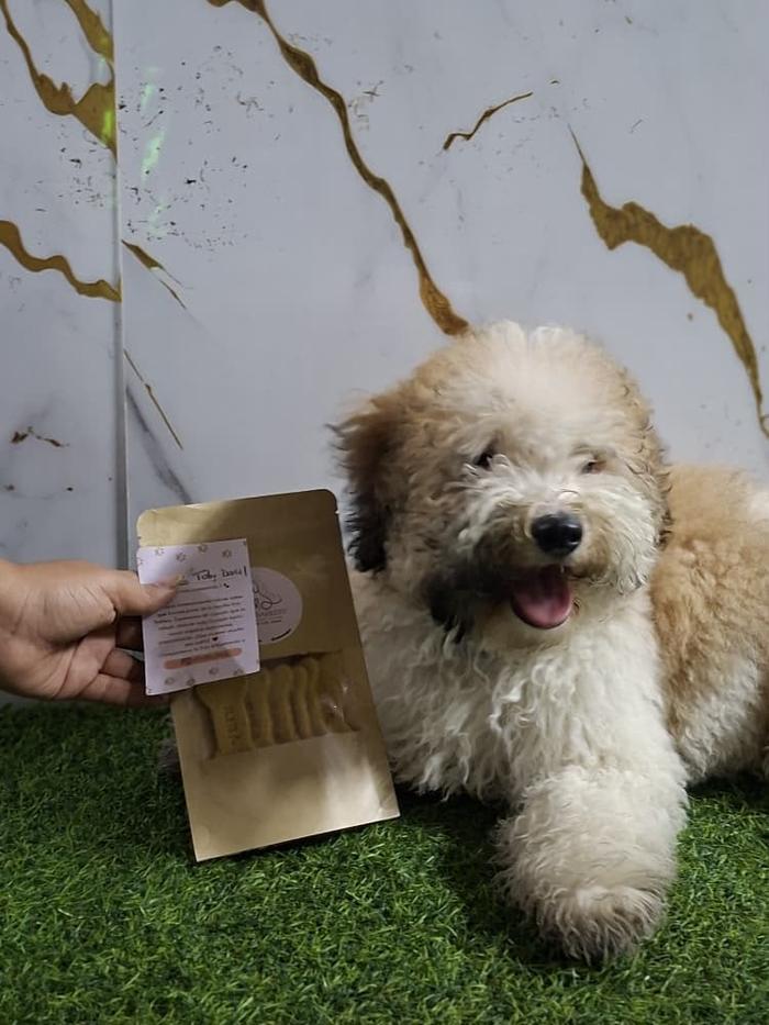 Perrito recibiendo su pedido personalizado Kira Barkery