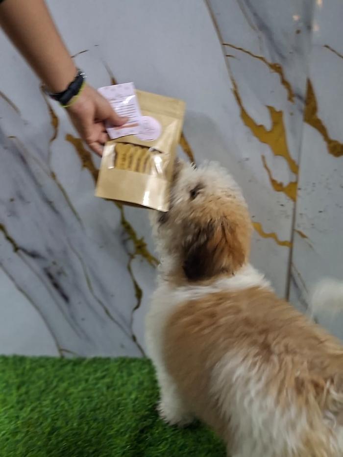 Perrito oliendo su bolsa de galletas Kira Barkery
